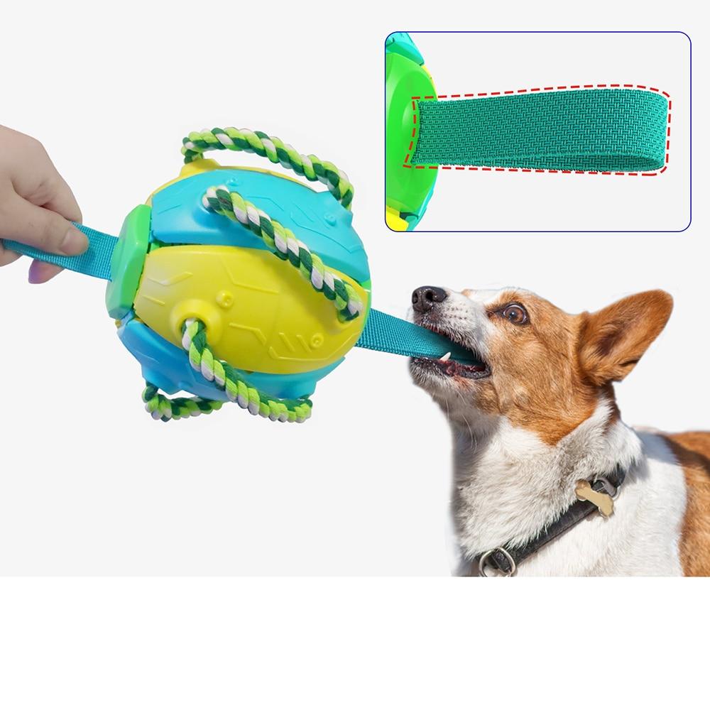 Training Toys For Dogs Increase Interaction And Mobility