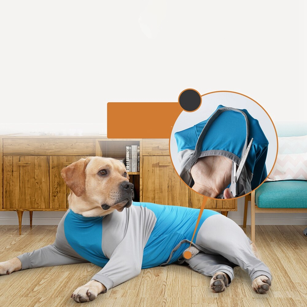 Dog Bodysuit With Highelastic Design