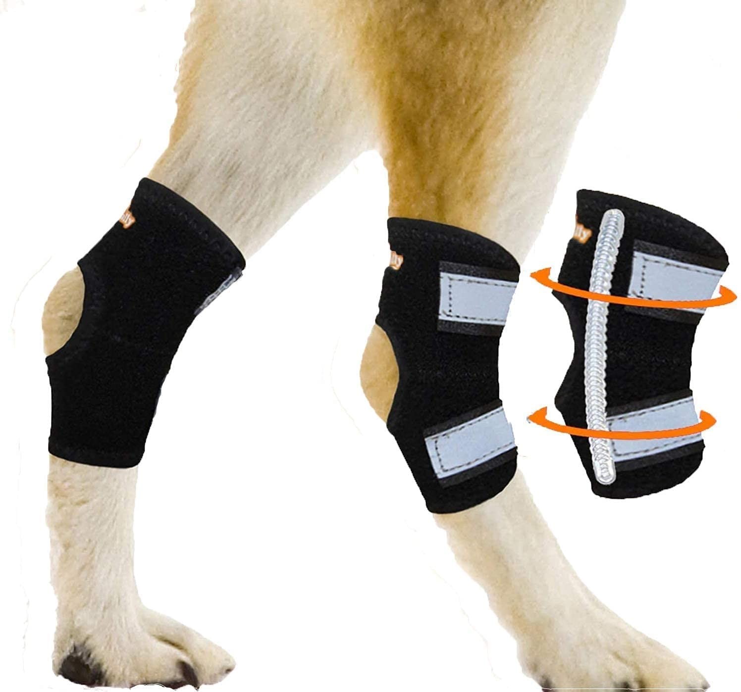 10 Best Dog Support Braces in 2024 Top Dog Braces Compared