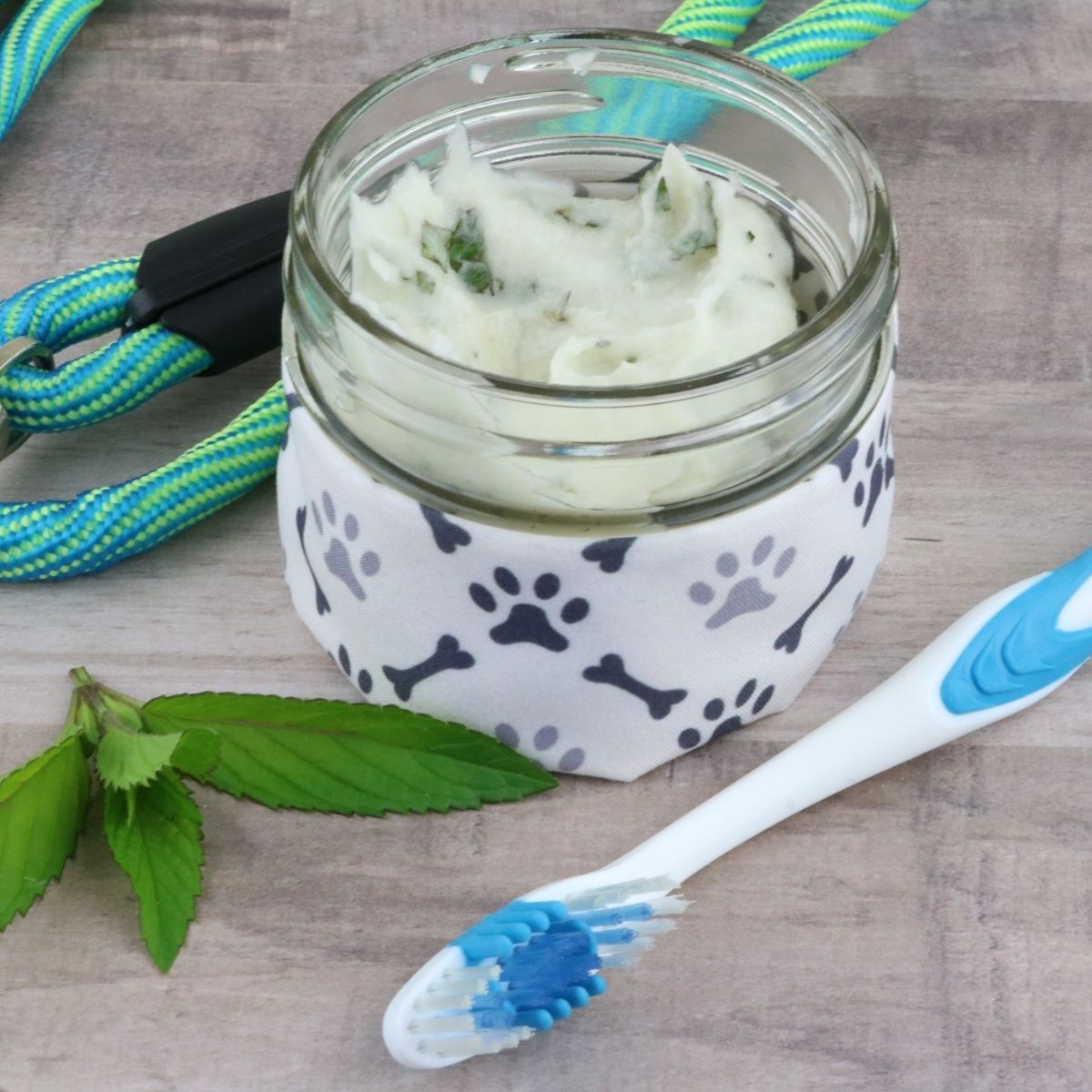Minty Homemade Dog Toothpaste Dog Mom Chef