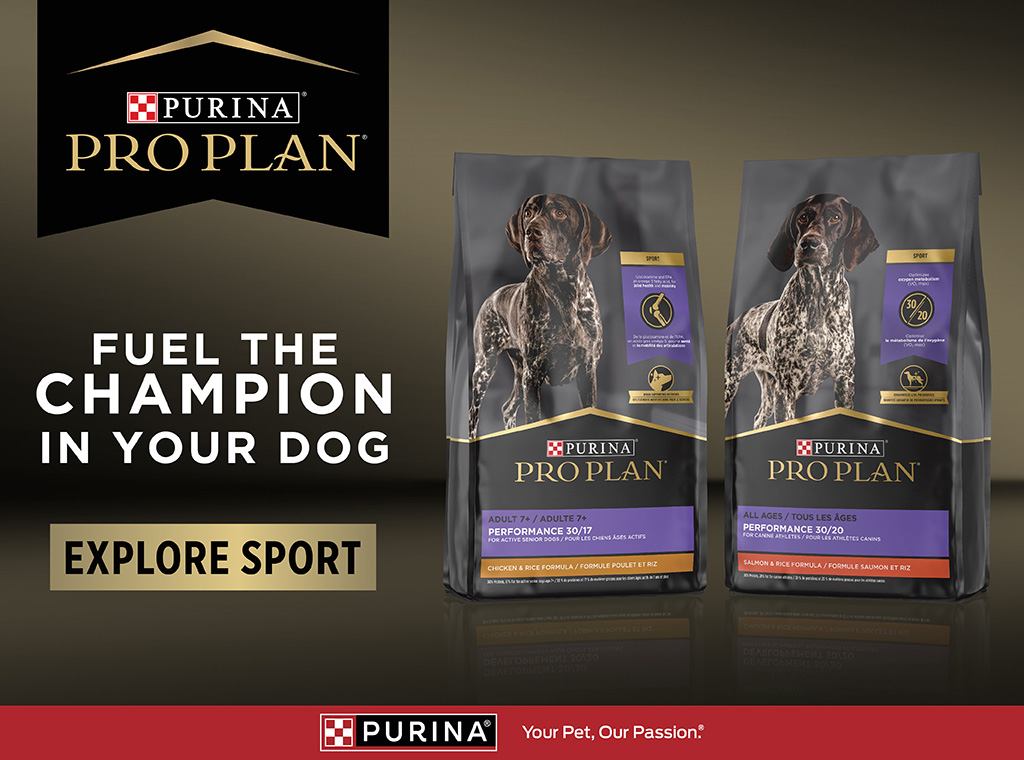 Nebraska Kennel Club Dog News