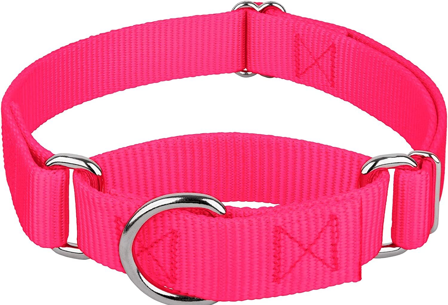 Choosing The Best Harness for Rhodesian Ridgeback Dog N Treats