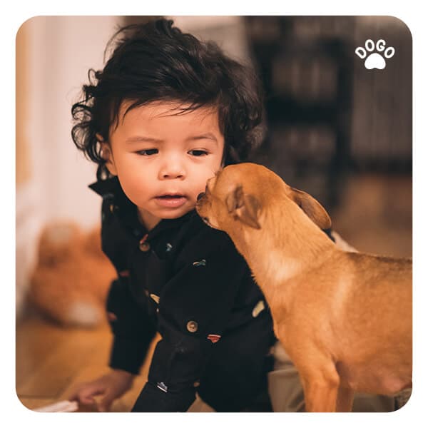 Dog and a Baby Get Your Dog Ready for Life Changes Dogo App