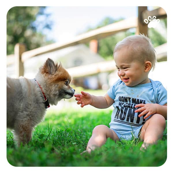 Dog and a Baby Get Your Dog Ready for Life Changes Dogo App