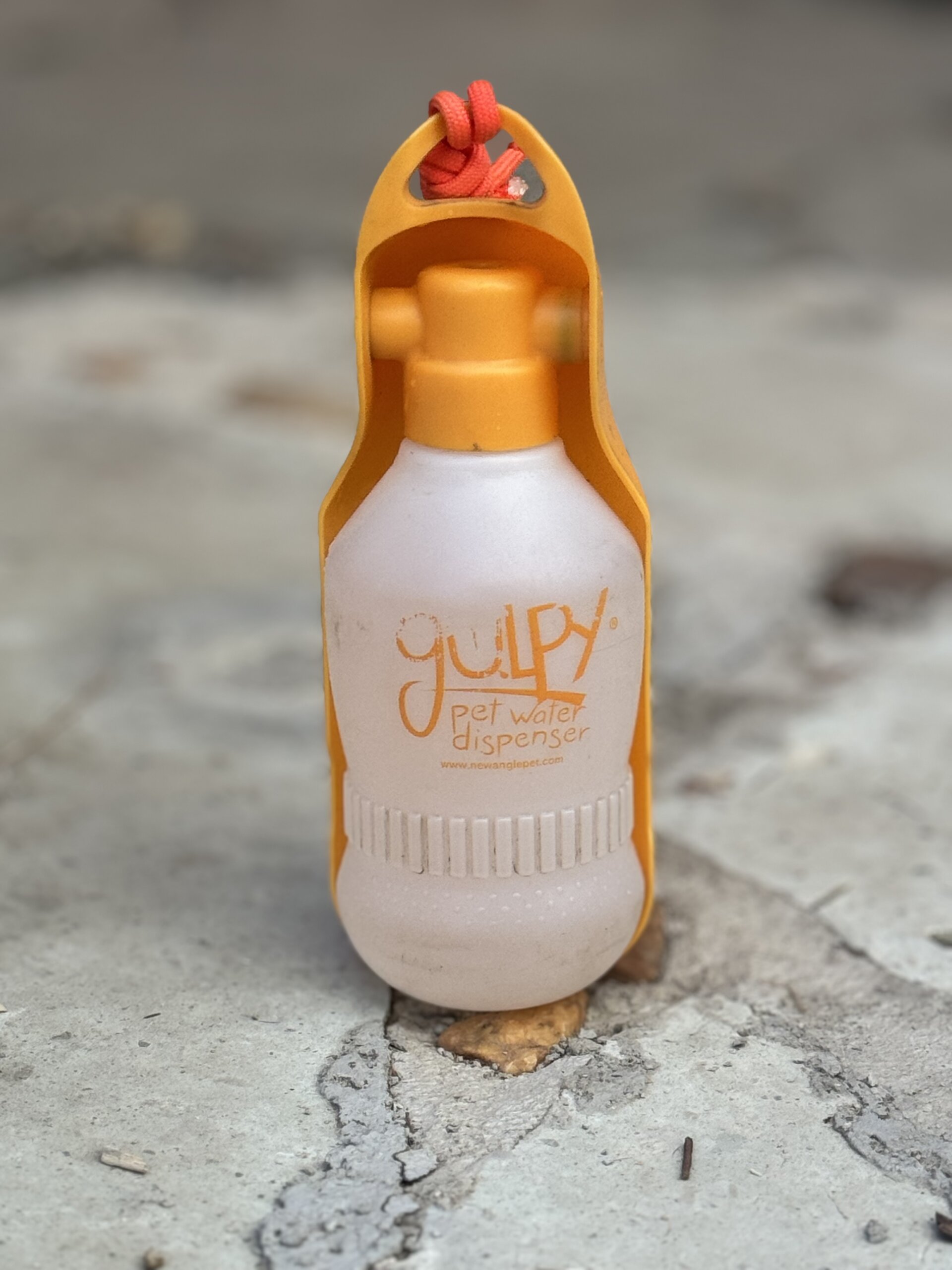 Gulpy Pet Water Dispenser