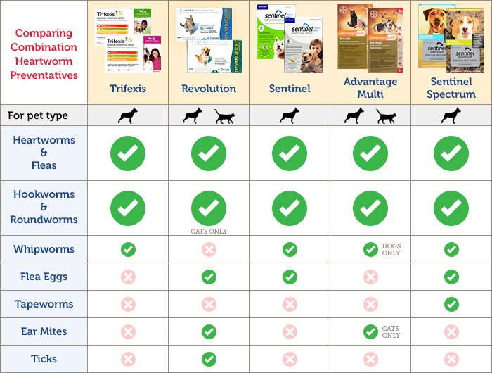 What types of Parasites can dogs acquire and how are they eliminated.