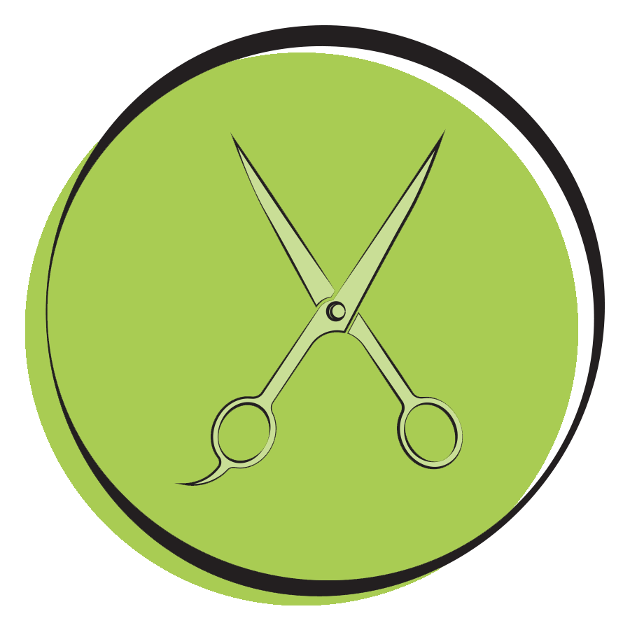 Fort Collins Dog Grooming, Self Serve Dog Wash and Dog Daycare