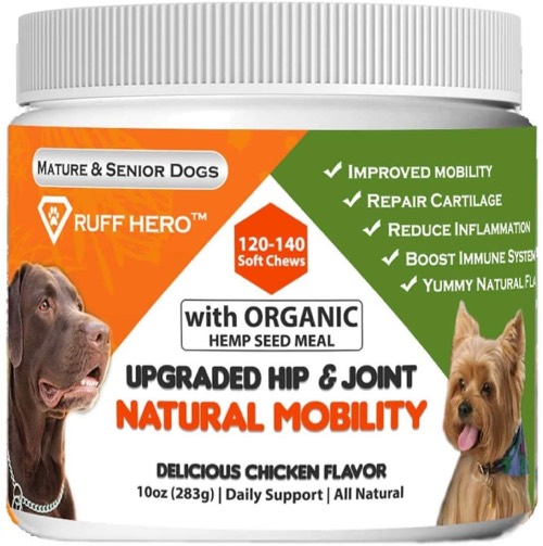 Managing Osteoarthritis in Dogs DogPerDay