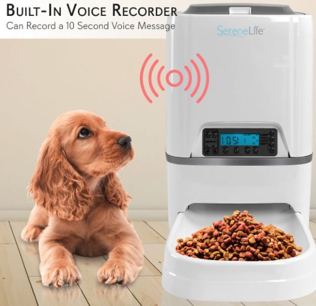 Best Automatic Dog Feeders with Timers Timed Dog Food Dispensers Reviews