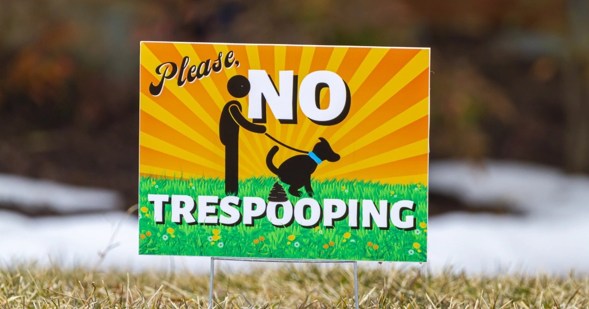 9 Tips To Keep Dogs From Pooping In Your Yard Dog Poo Crew