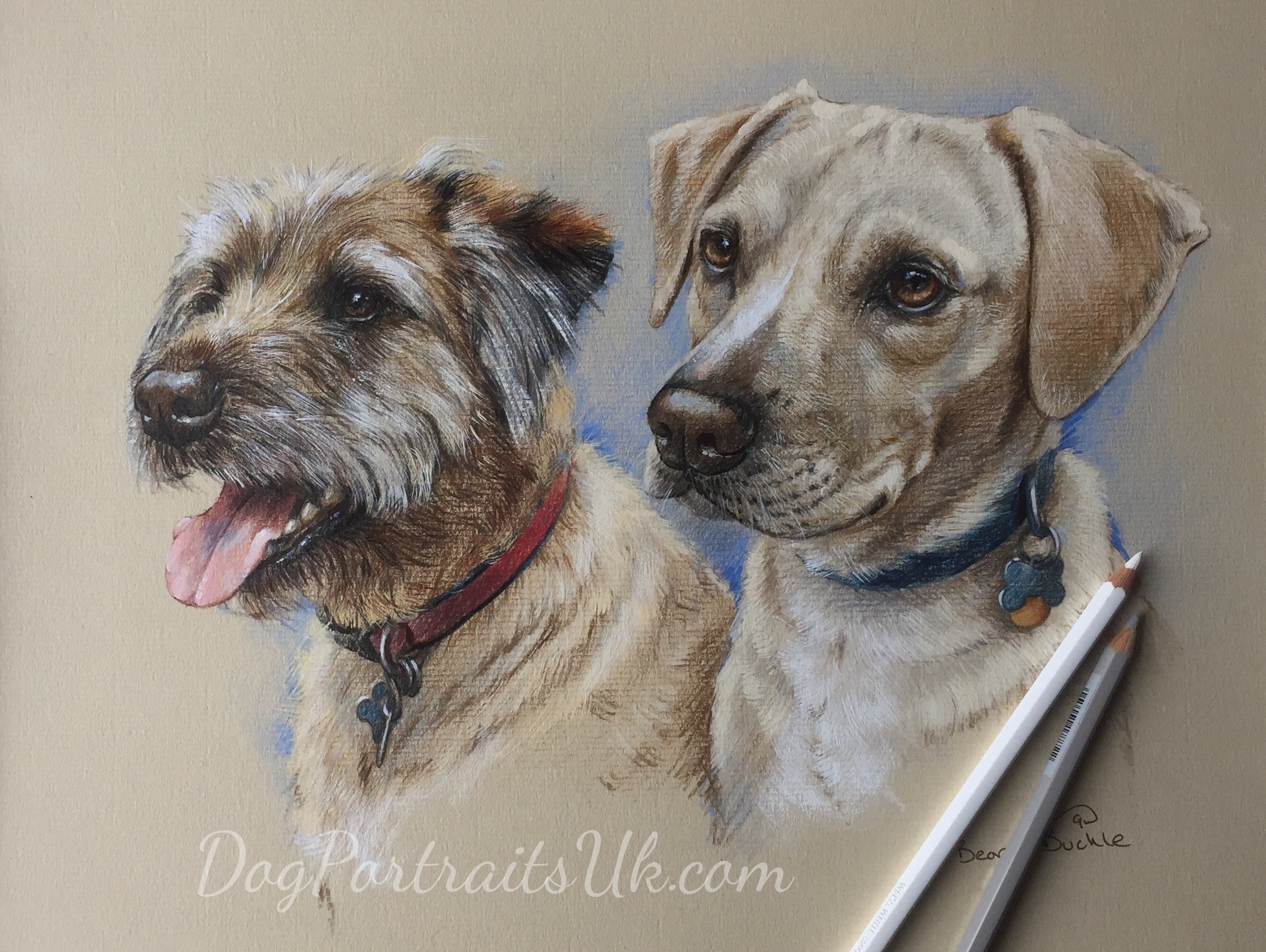 Dog Portraits UK, pet portraits, Glossop, Derbyshire, High Peak Artist