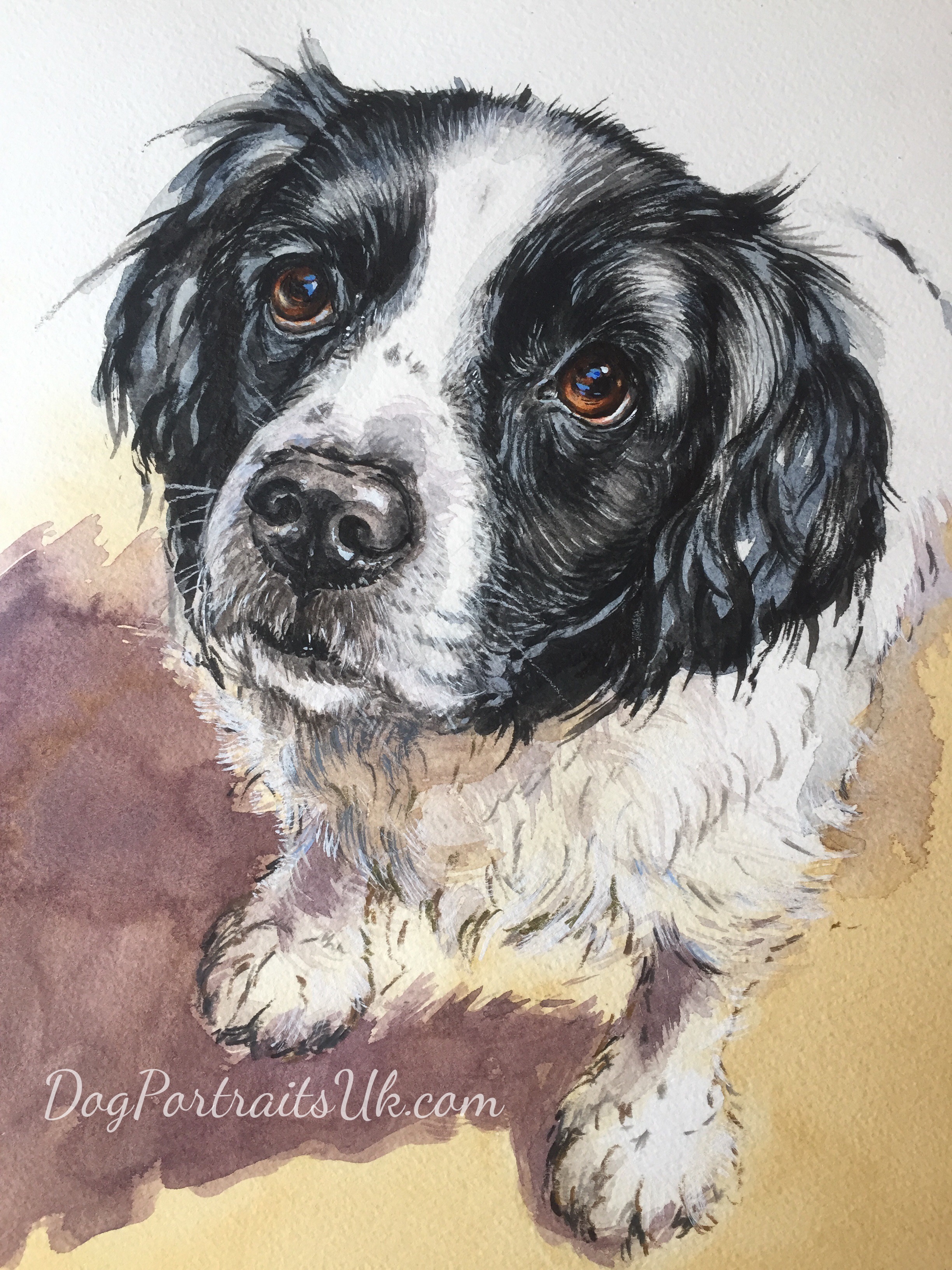 Dog Portraits UK