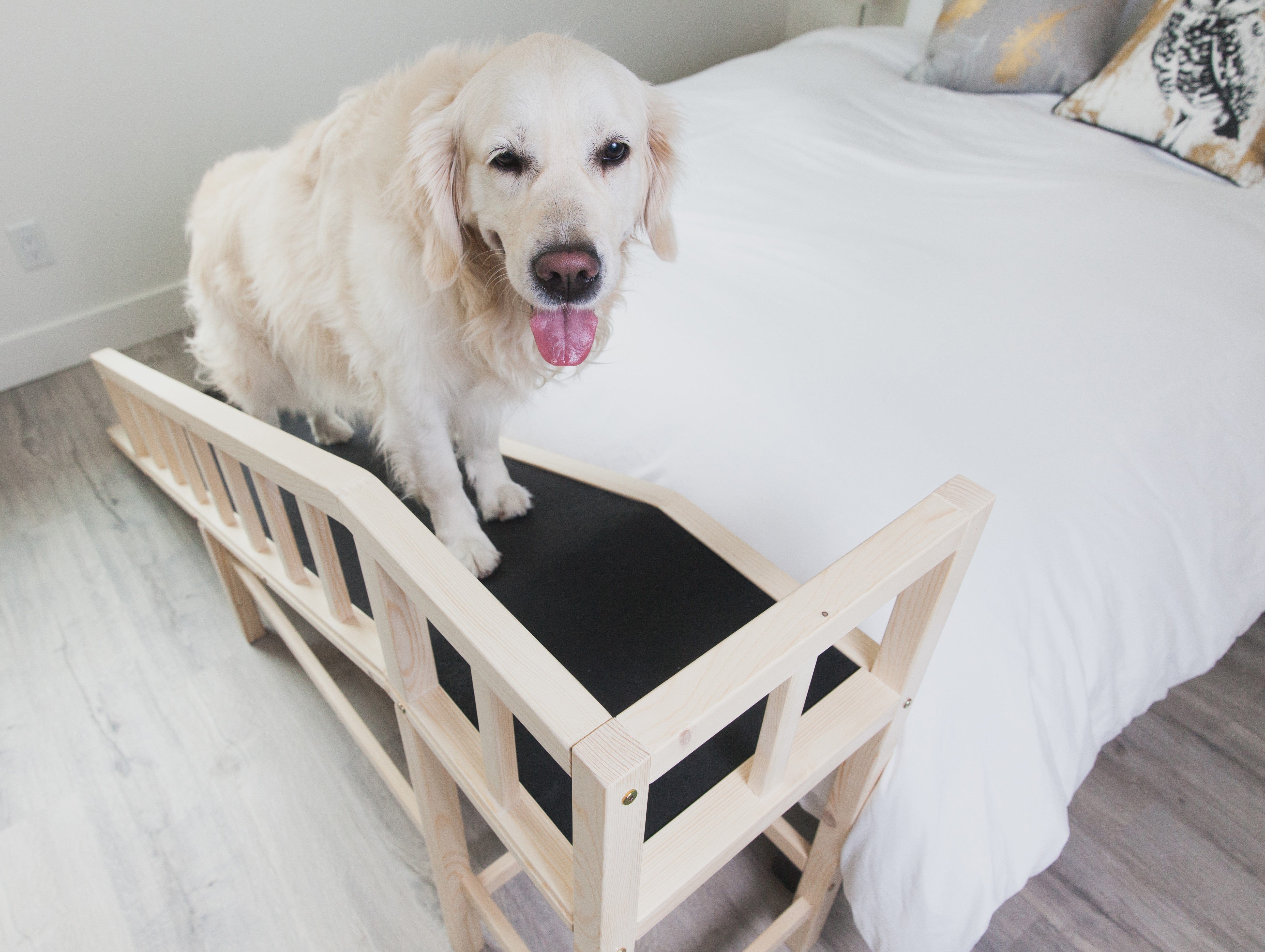 Gentle Rise Dog Bed Ramp with Safety Rails and Non Slip Foam Dog Quality