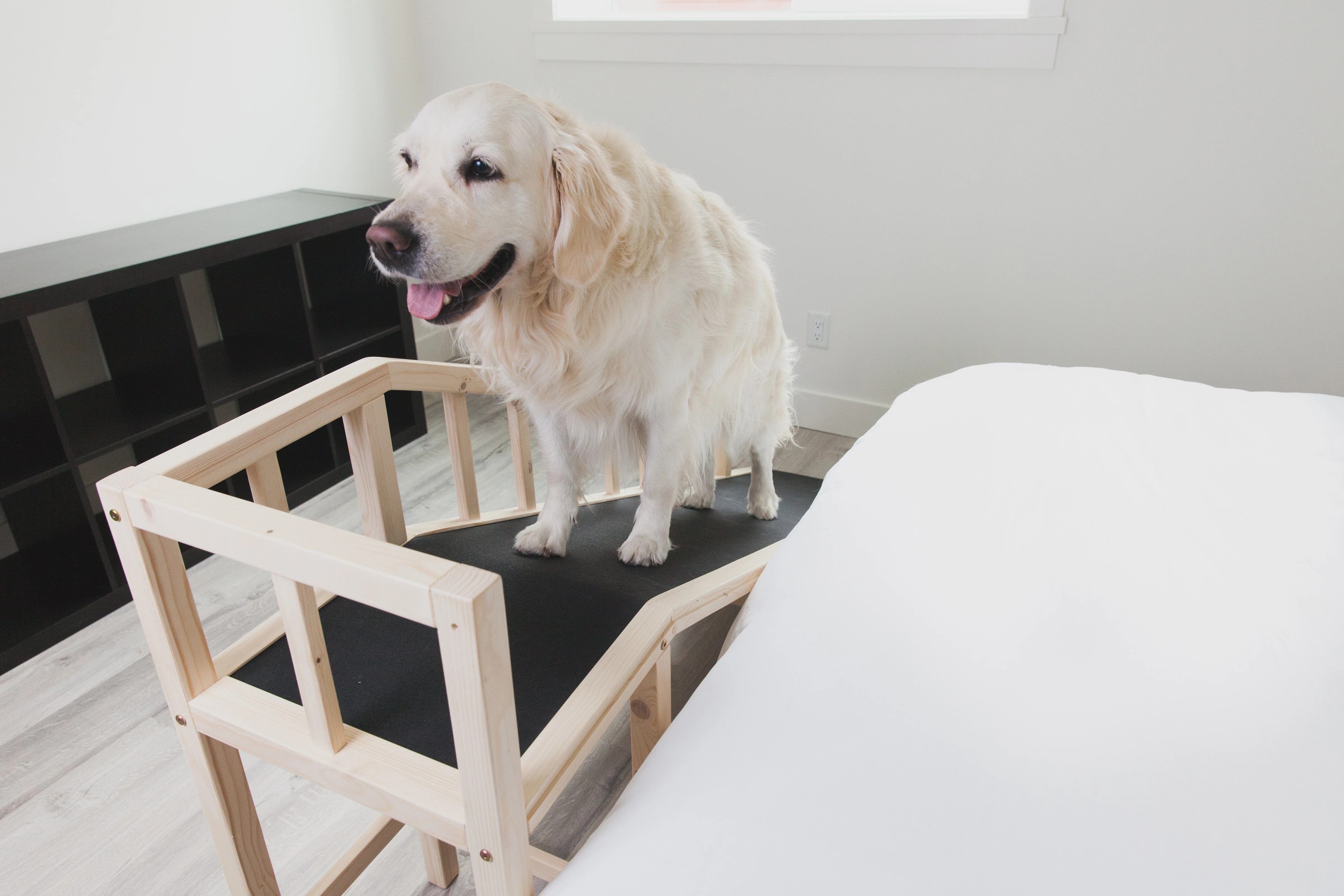 Gentle Rise Dog Bed Ramp with Safety Rails and Non Slip Foam Dog Quality