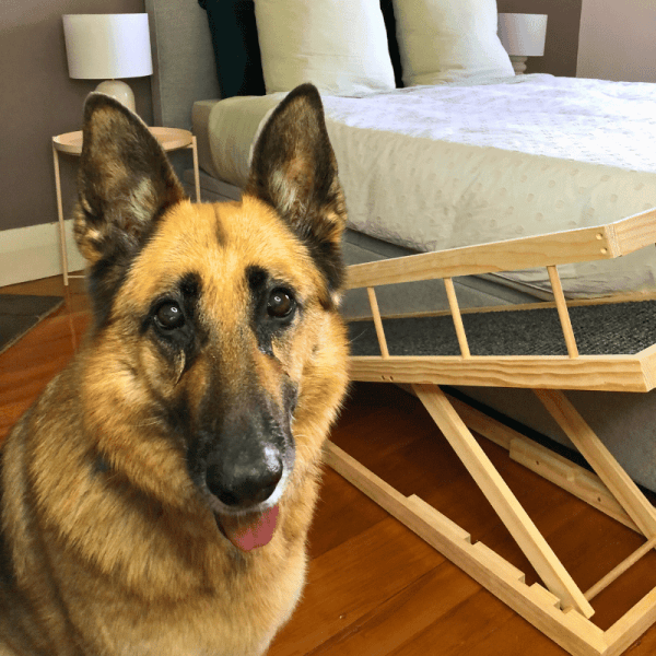 CustomBuilt Height Adjustable Dog Ramp The Dog Ramp Co.