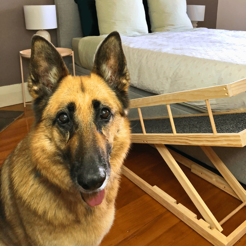Premium Australian Made Height Adjustable Wooden Dog Pet Ramps The