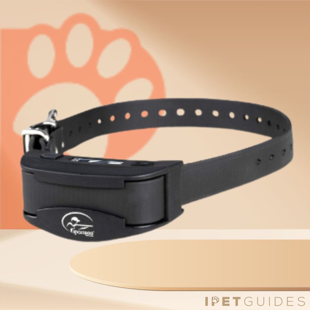7 Best Bark Collars for Labrador Retrievers (2024 Updated)