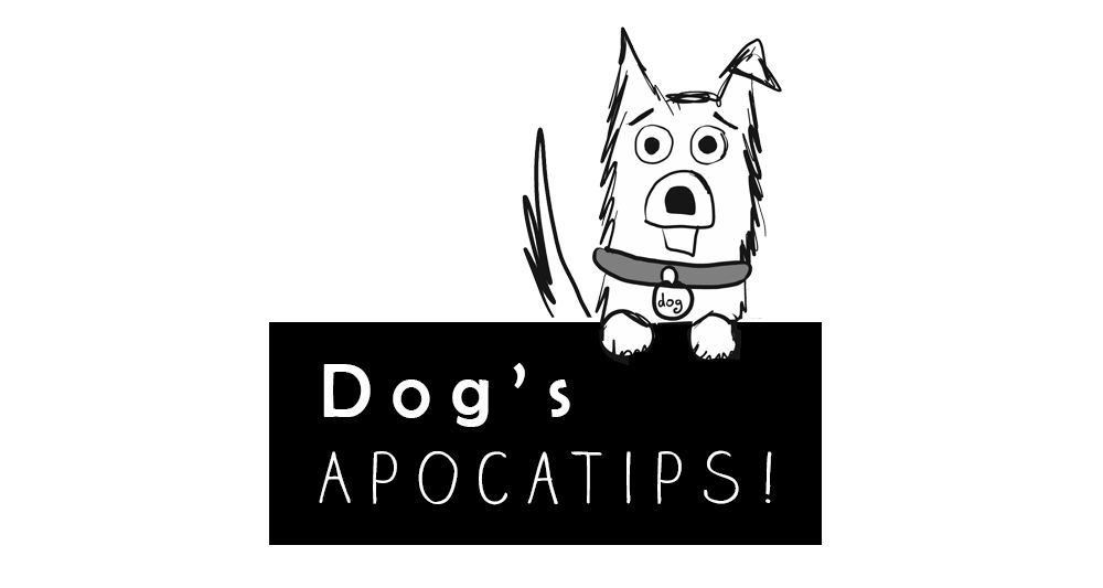 Dogs and Zombies Dog's Guide to the Zombie Apocalypse