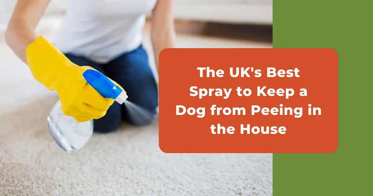 The UK's Best Spray To Keep A Dog From Peeing In The House