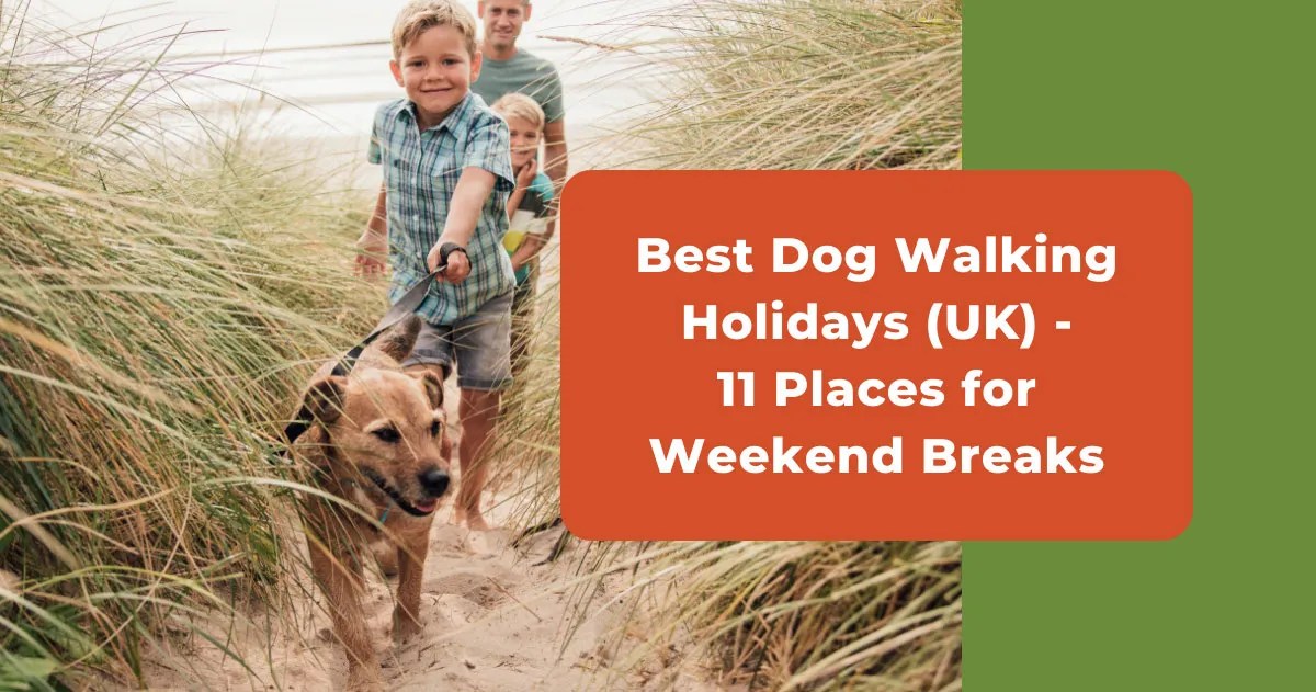 Best Dog Walking Holidays (UK) 11 Places For Weekend Breaks