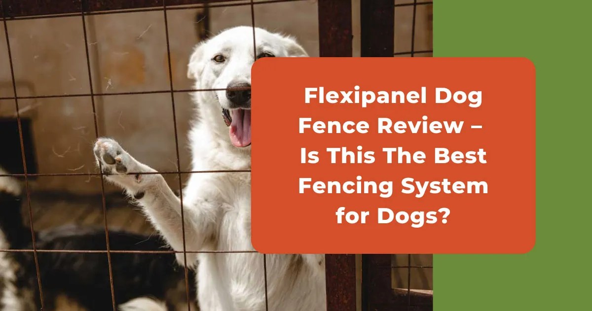 Flexipanel Dog Fence Review Best Flexible Fencing System?