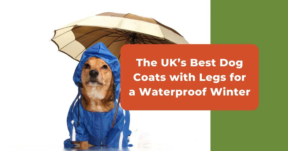 The UK's Best Waterproof Dog Coat With Legs (Full Coverage)