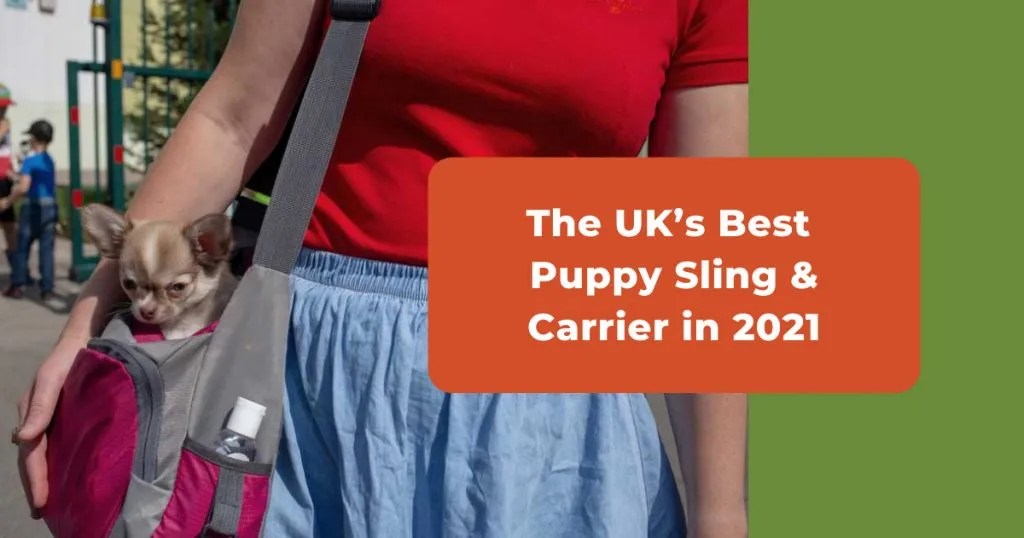Best Puppy Sling Carrier (UK) 7 Top Dog Carry Wraps