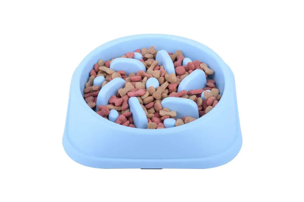 Exercising A Dog After Eating How Long To Wait Before A Walk