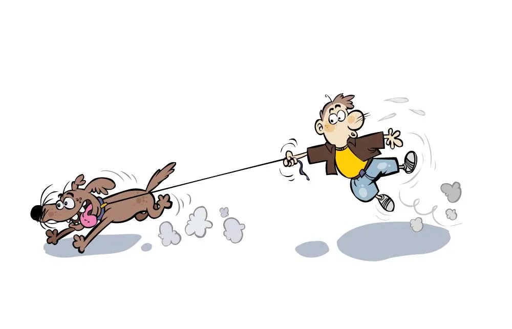 Do Dogs Grow Out Of Pulling (What To Expect & Do)