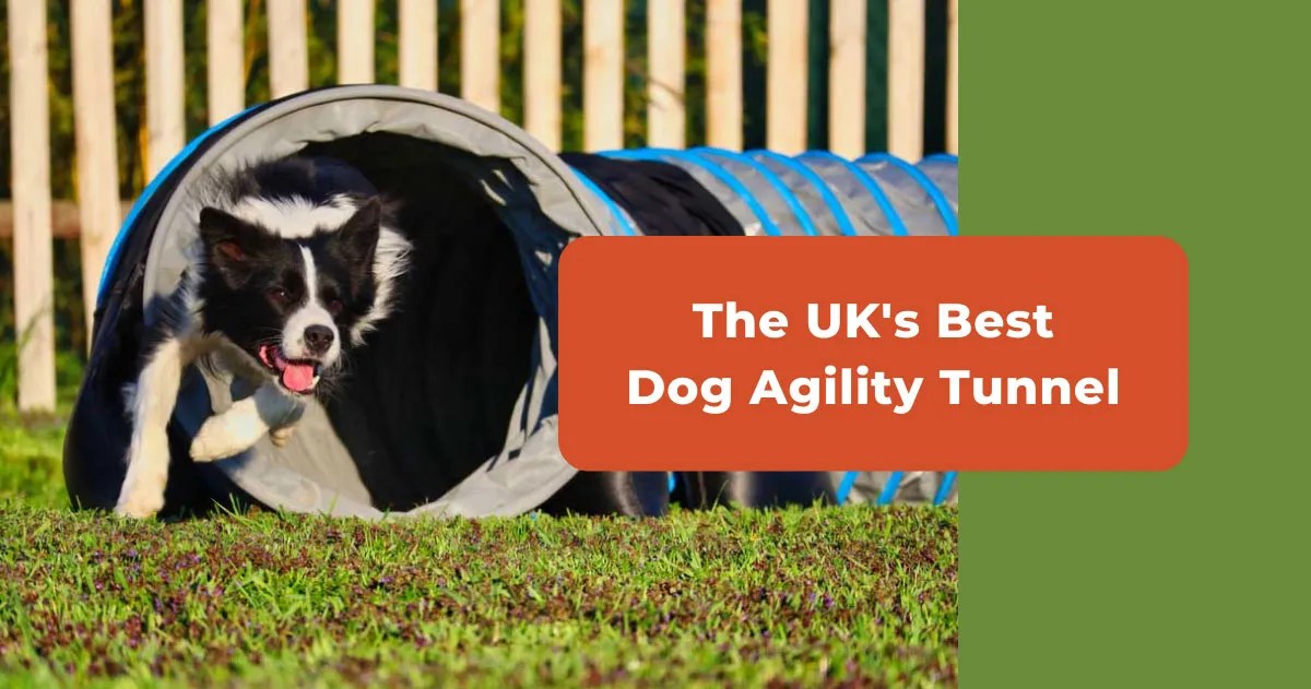 Best Dog Agility Tunnel (UK) Small, Large & Heavy Duty