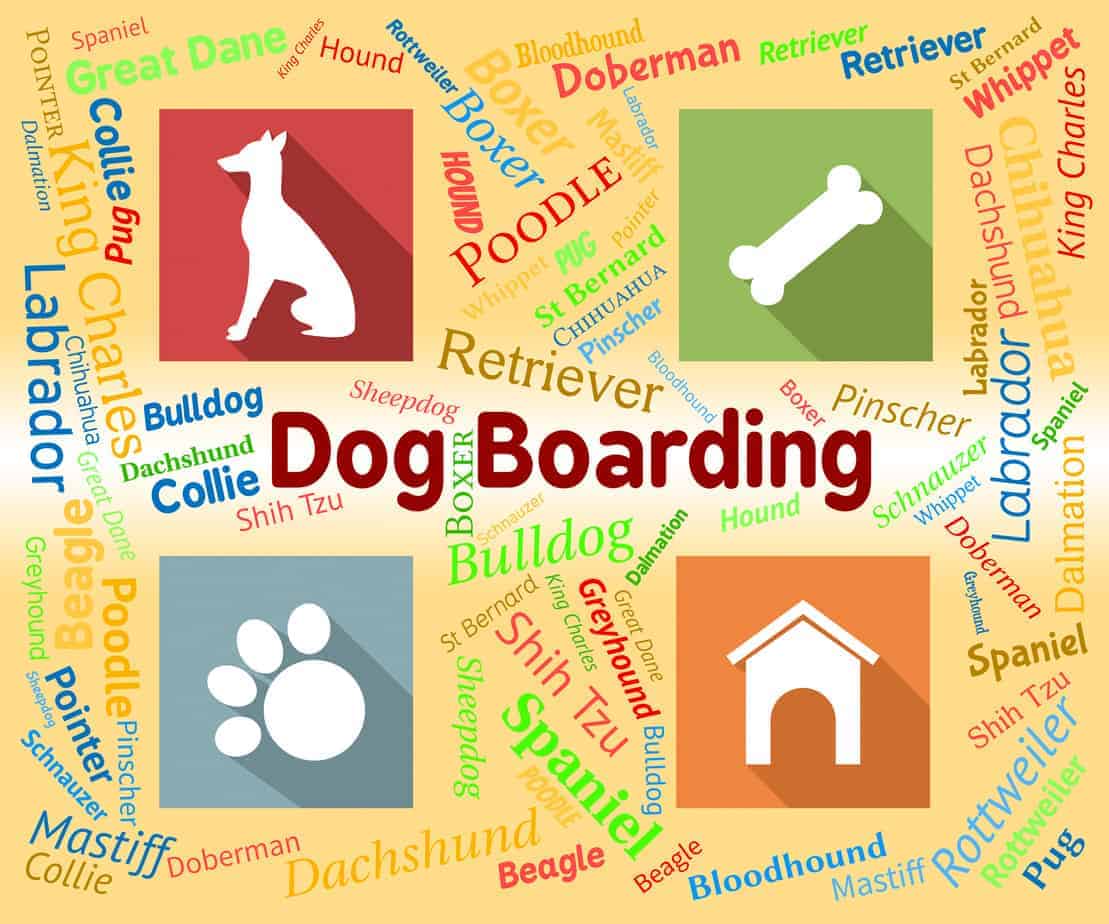 Dog boarding cost Know what each option can do for you, your pet