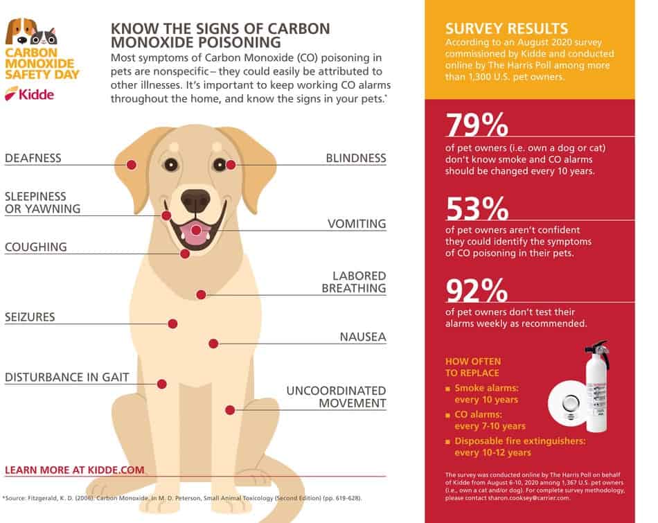Carbon monoxide poisoning in dogs Know the symptoms