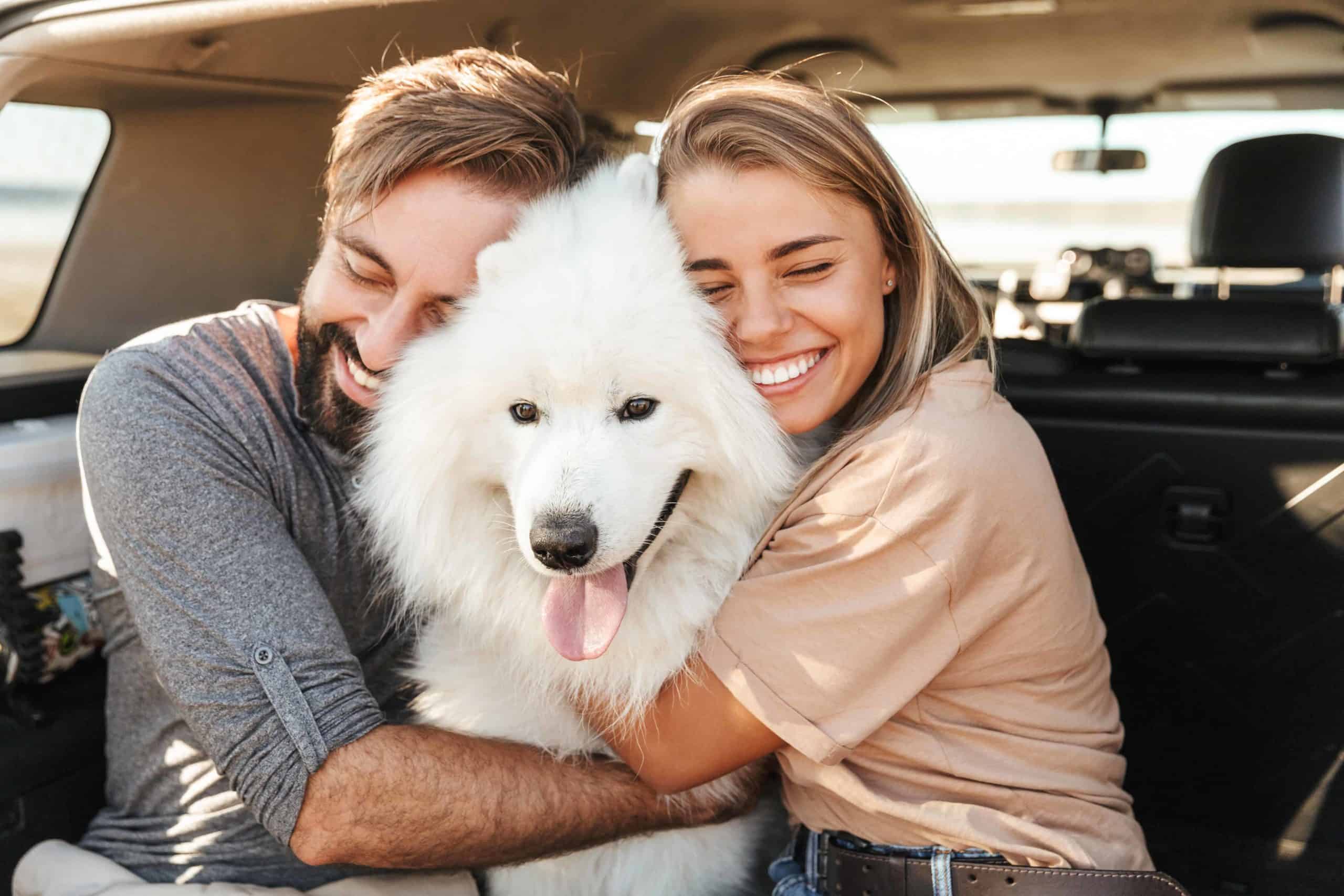 Dogfriendly date ideas Shopping, hiking, outdoor movie, or dinner out