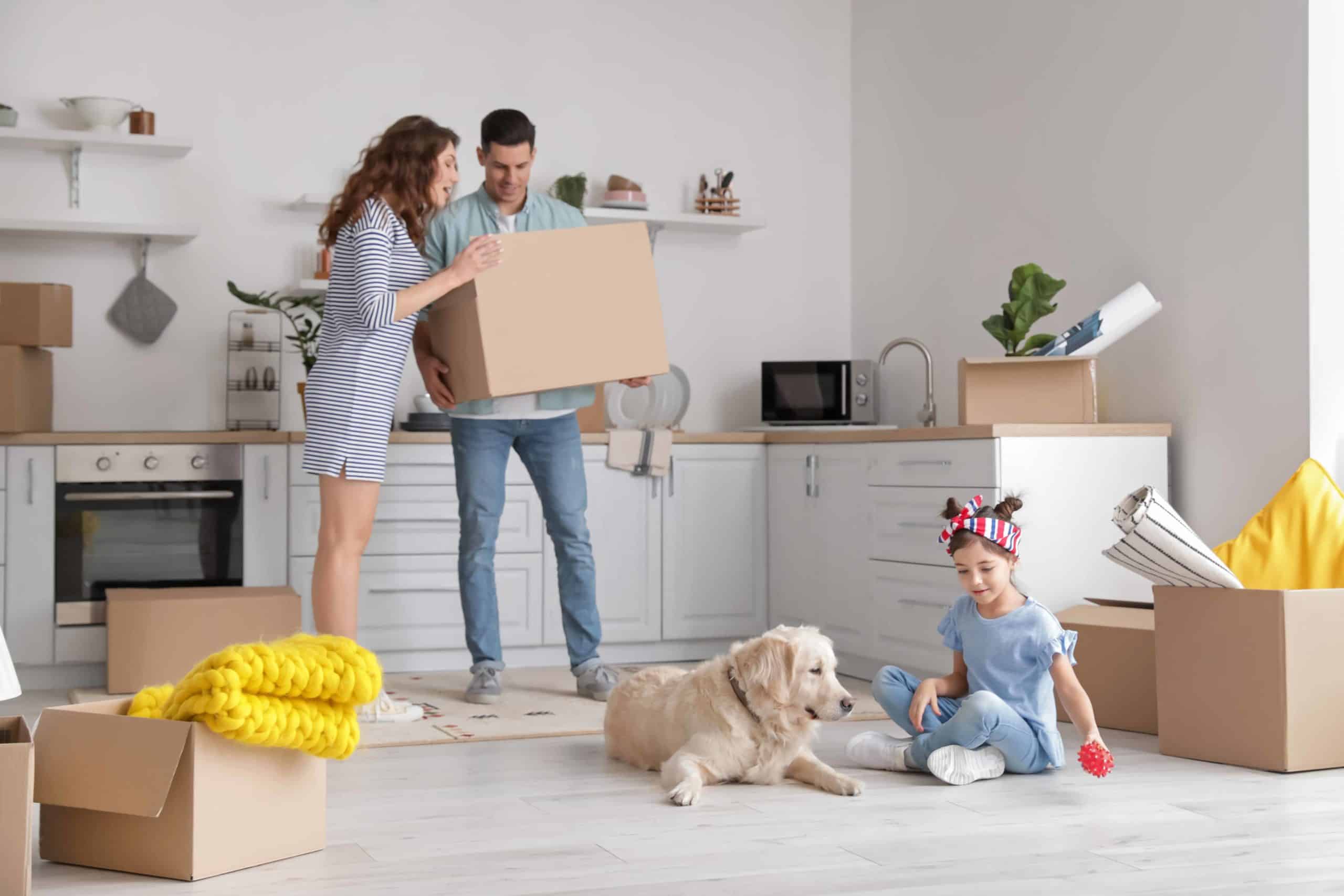 How To Help Your Dog Move House
