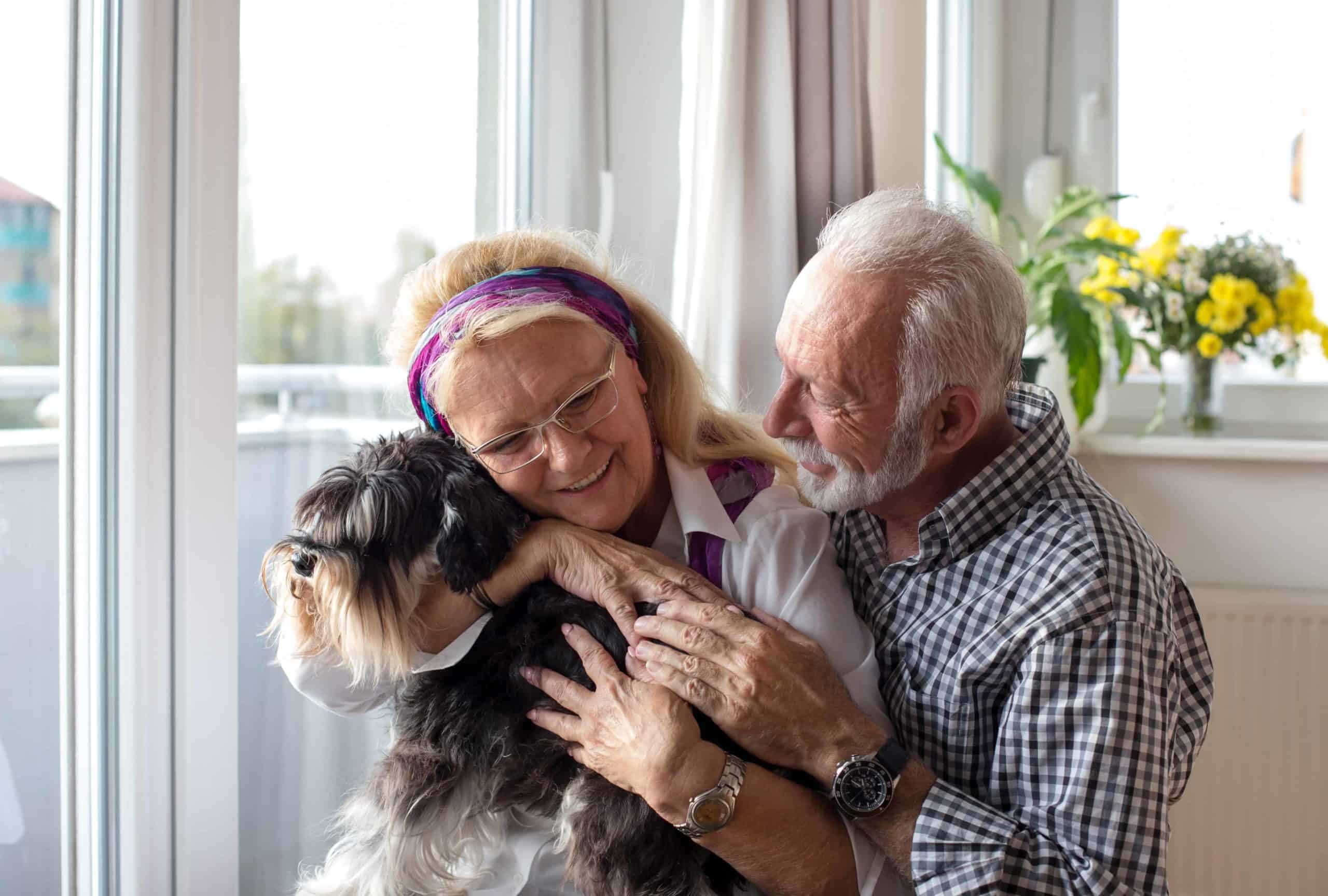 Seniors adopt dogs Consider your energy level, physical condition