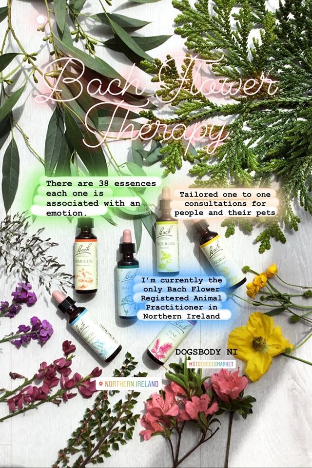 Bach Flower Therapy