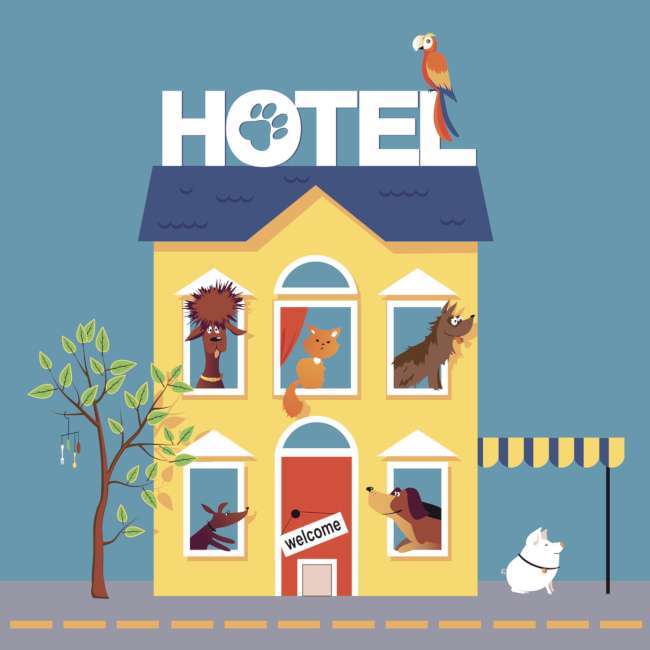 Tips for Keeping Your Dog Happy When Dog Boarding Dogs By Andy K9