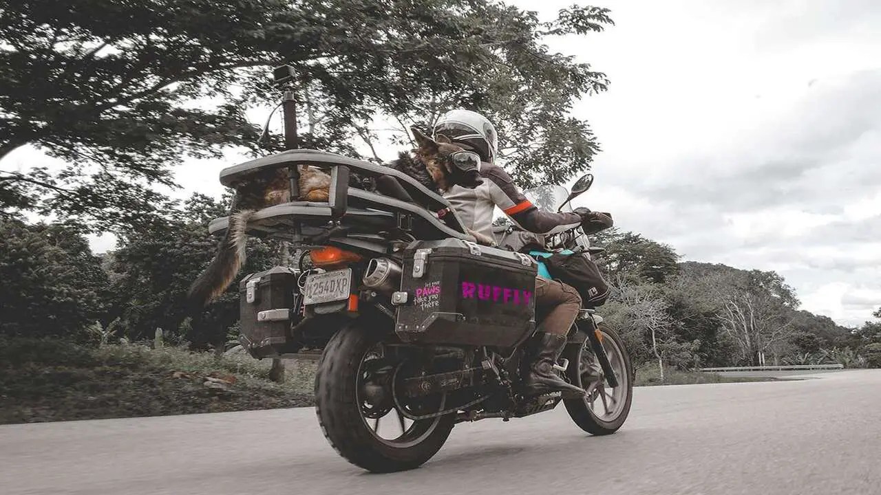 Correct Attachment To The Motorcycle
