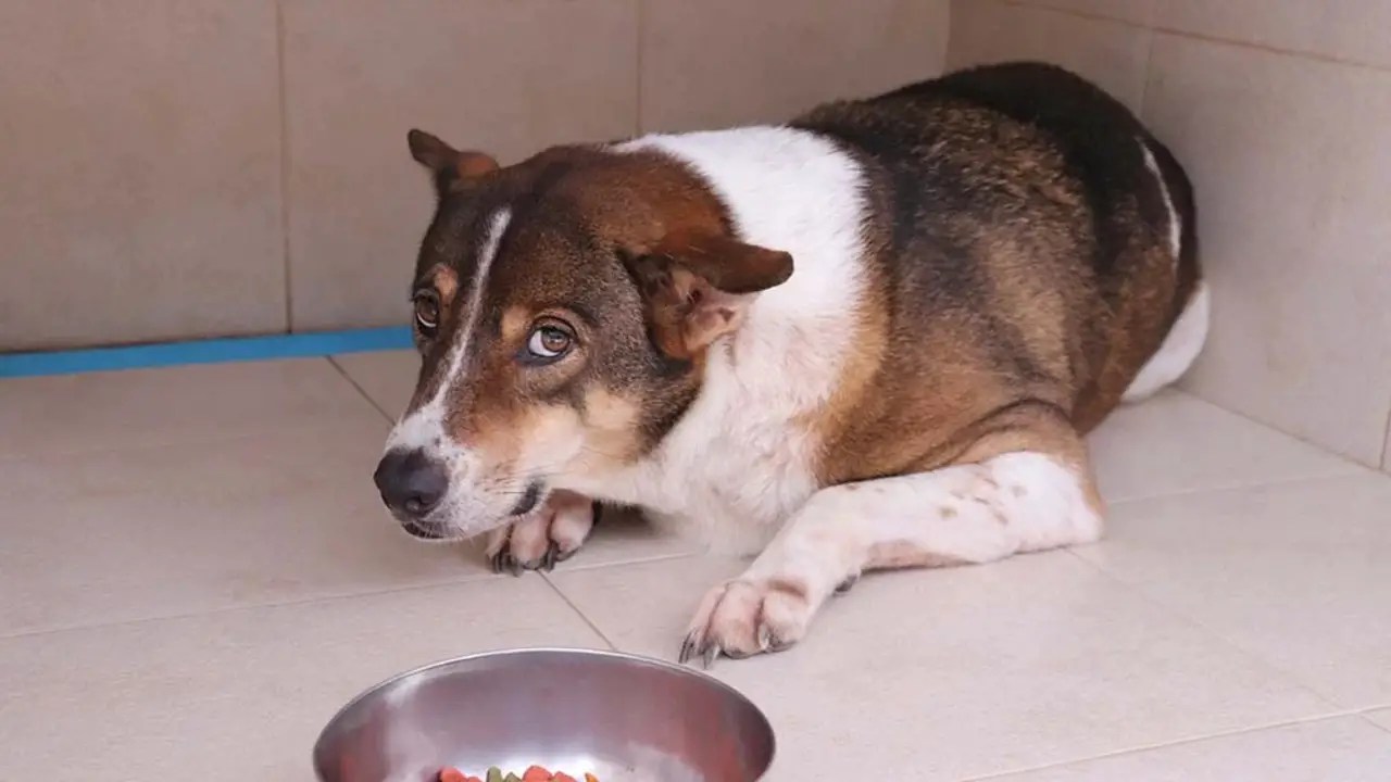 Fear Of Getting Sick