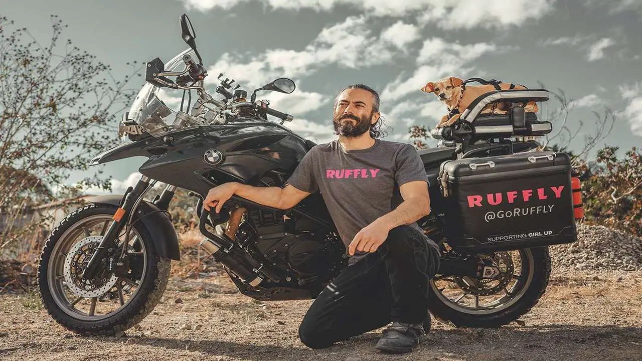 - Importance Of Using A Dog Harness -For Motorcycle