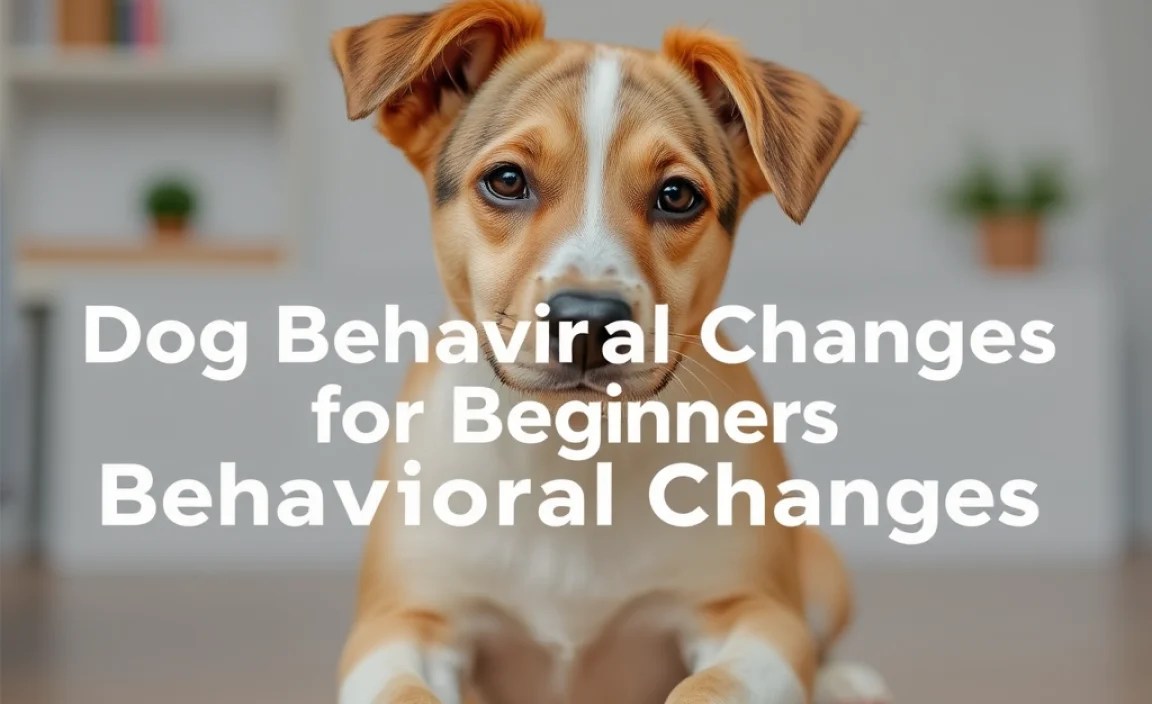 How to Address Common Behavioral Changes