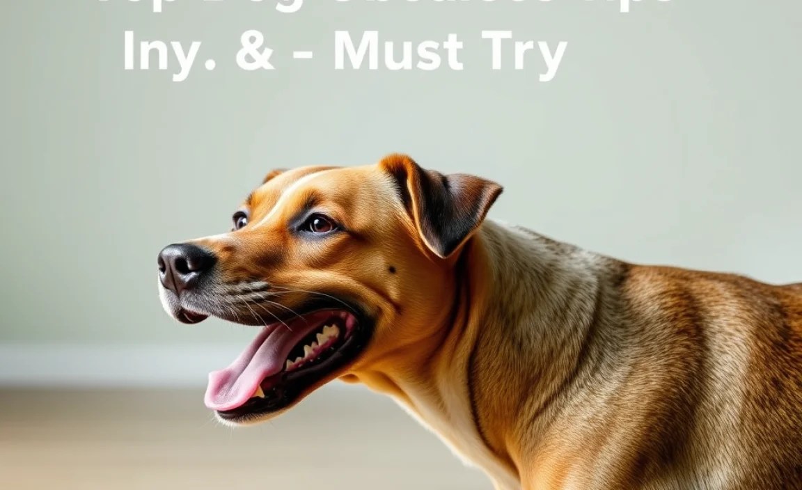 Overcoming Training Challenges