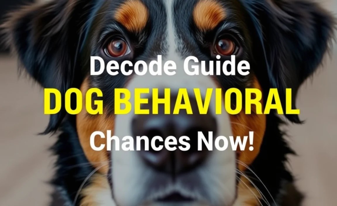 Ultimate Guide: Decode Dog Behavioral Changes Now!