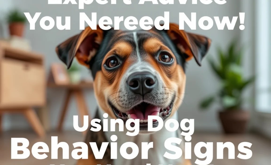 Using Dog Behavior Signs Advice