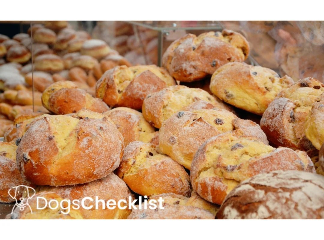 Can Dogs Eat Raisin Bread? Find Out