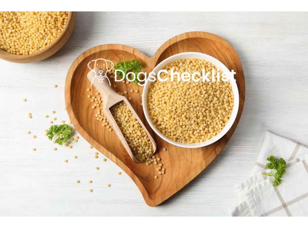 Can Dogs Eat Couscous? What You Should Know Kicker