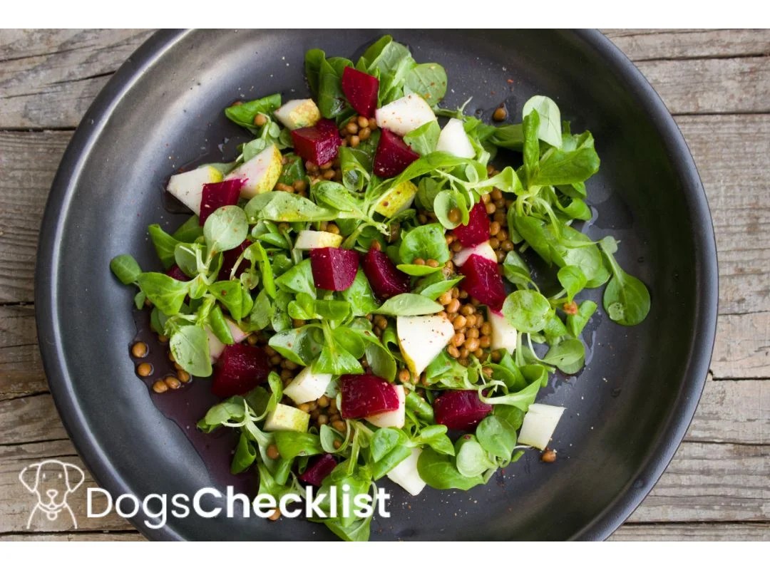 Can Dogs Eat Egg Salad? Find Out