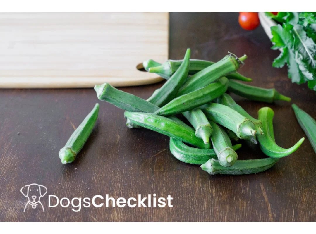Can Dogs Eat Okra? Find Out