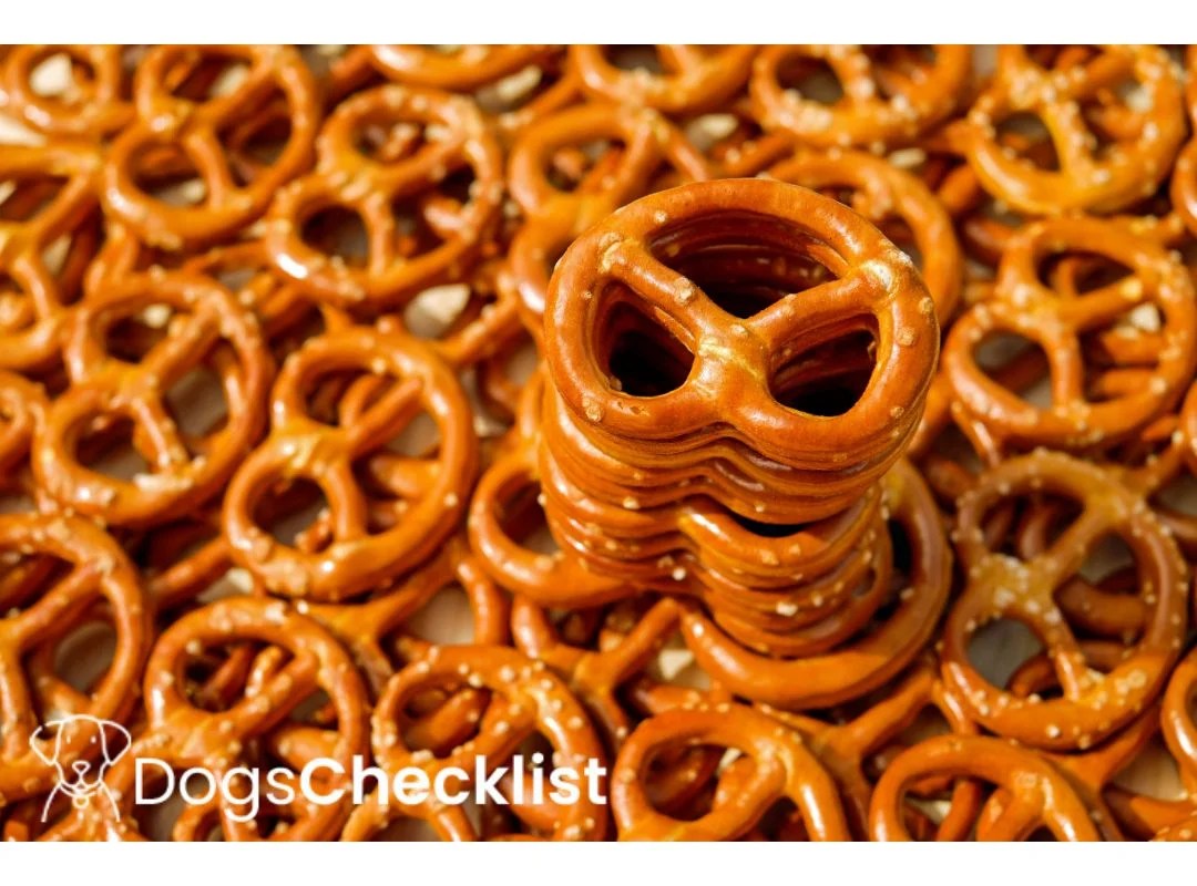 Can Dogs Eat Pretzels? Find Out