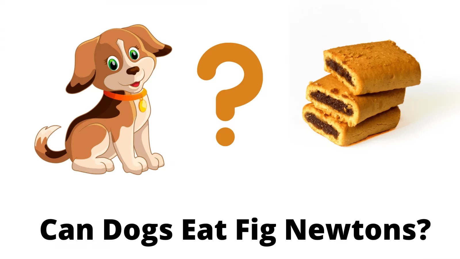 Can Dogs Eat Fig Newtons? Symptoms And Side Effects